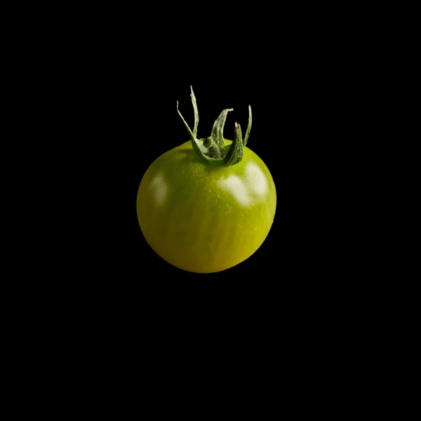 SUNGREEN